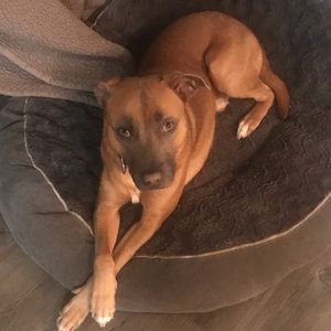 Meet your Posher, Neisha